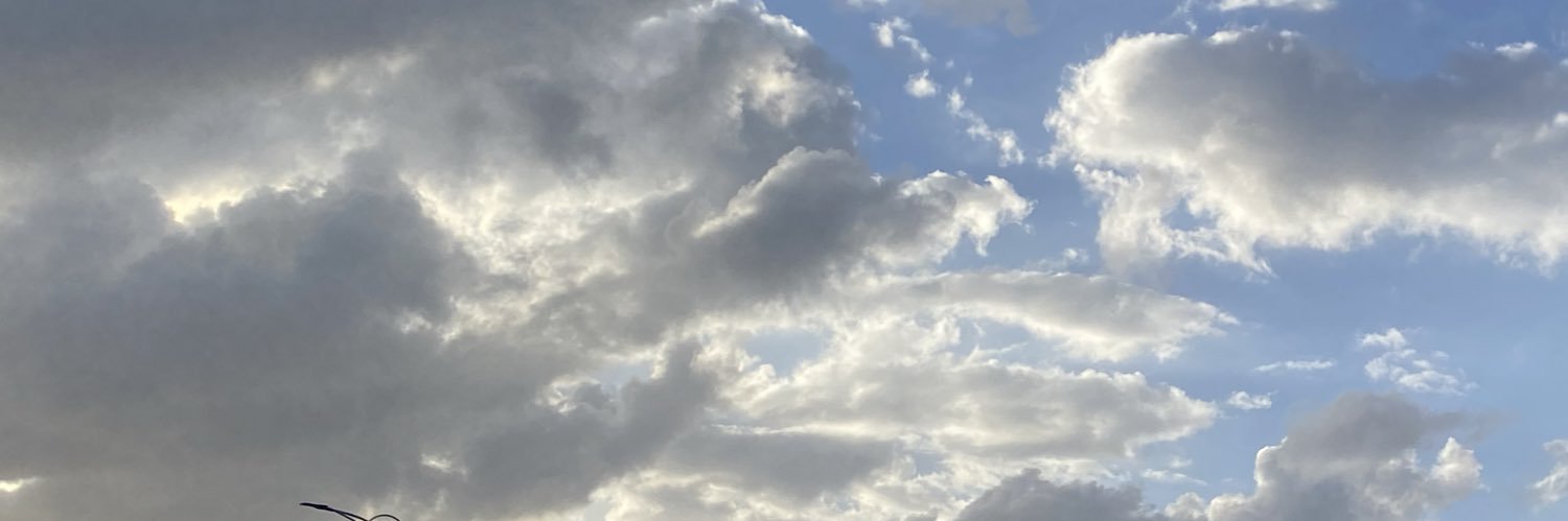 سَارا banner