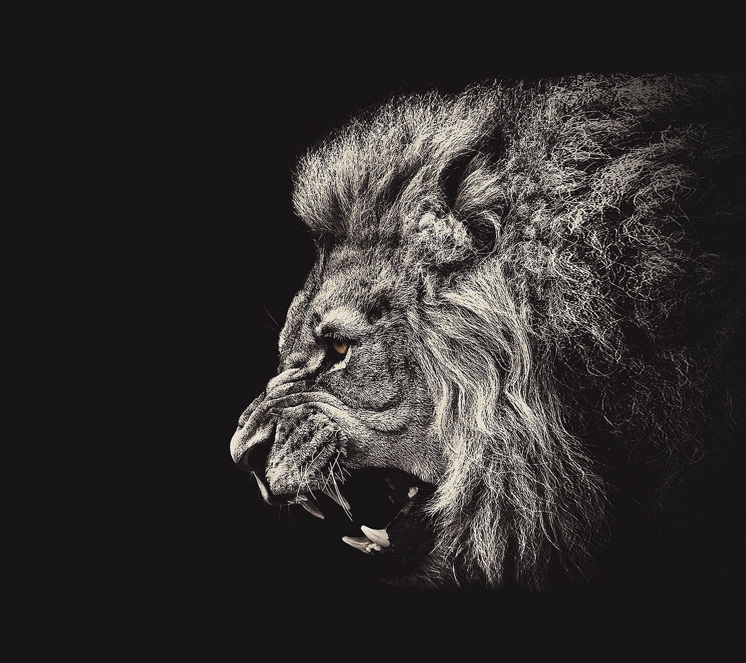 dalMlln's profile banner image