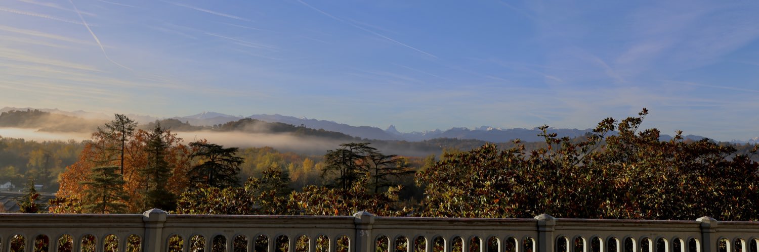 𝓕𝓻𝓮𝓭 𝓜𝓪𝓻𝓾𝓵𝓲𝓮𝓻 banner