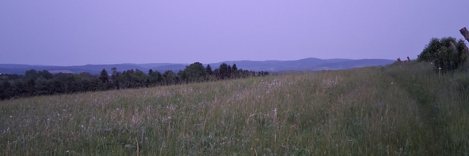 missmegp's profile banner image