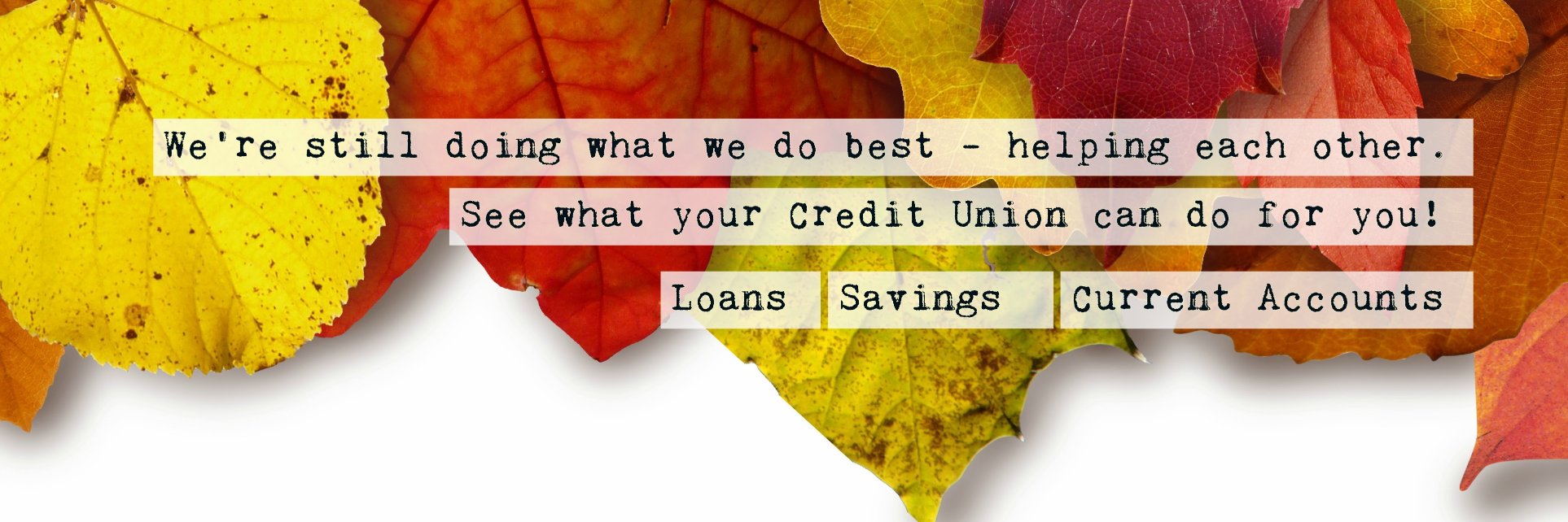 Lewisham+ Bromley banner