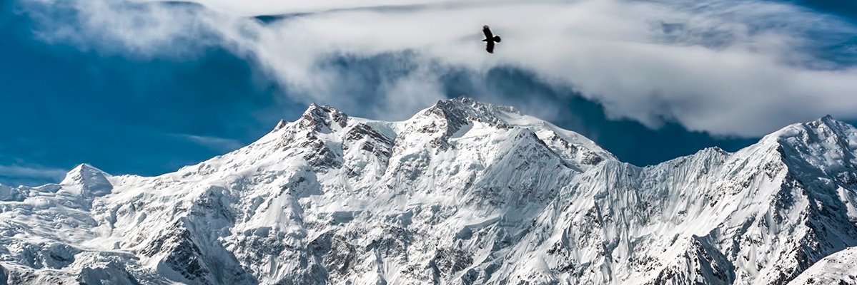 zawrocony's profile banner image