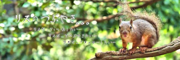 kit_orihara Profile Banner