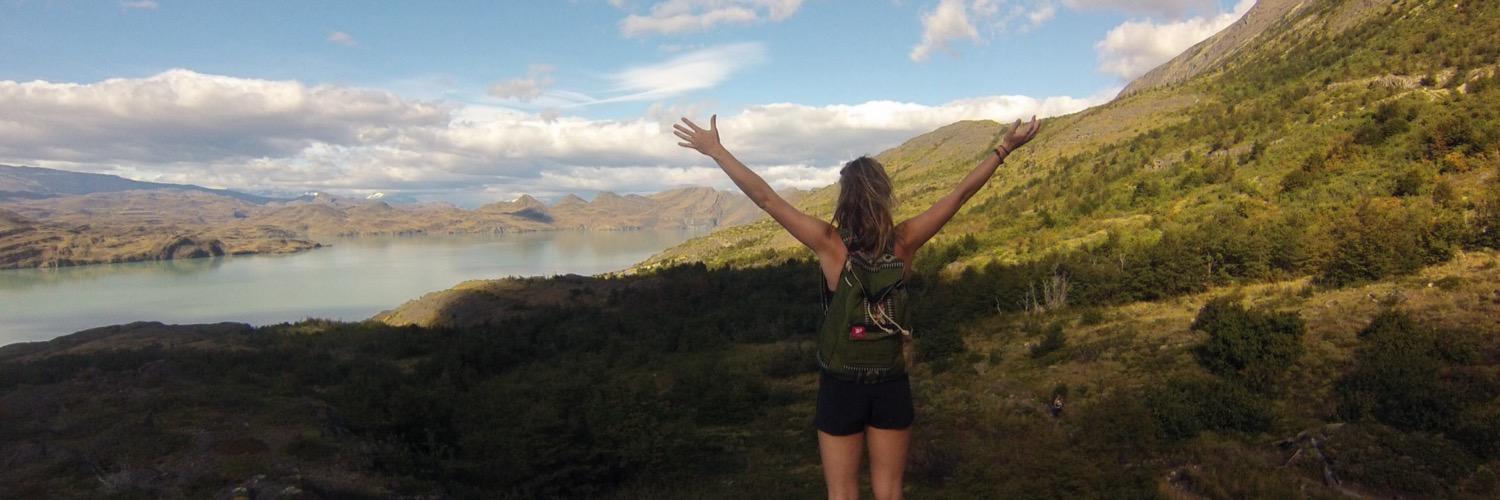 Taaluma Totes banner