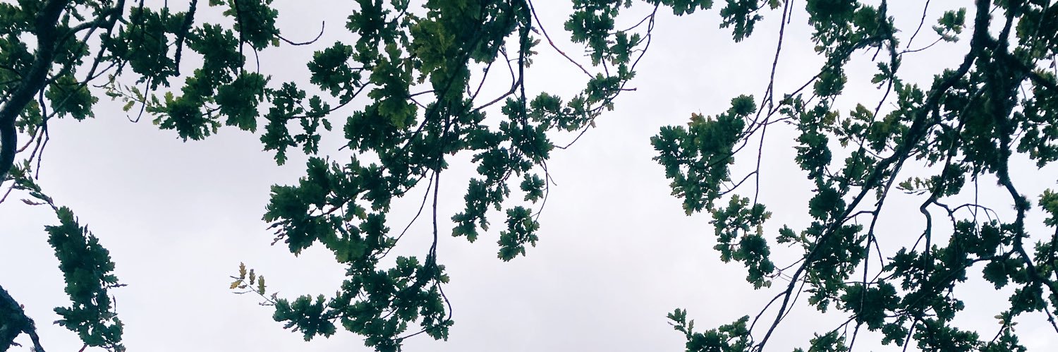 katekey_'s profile banner image