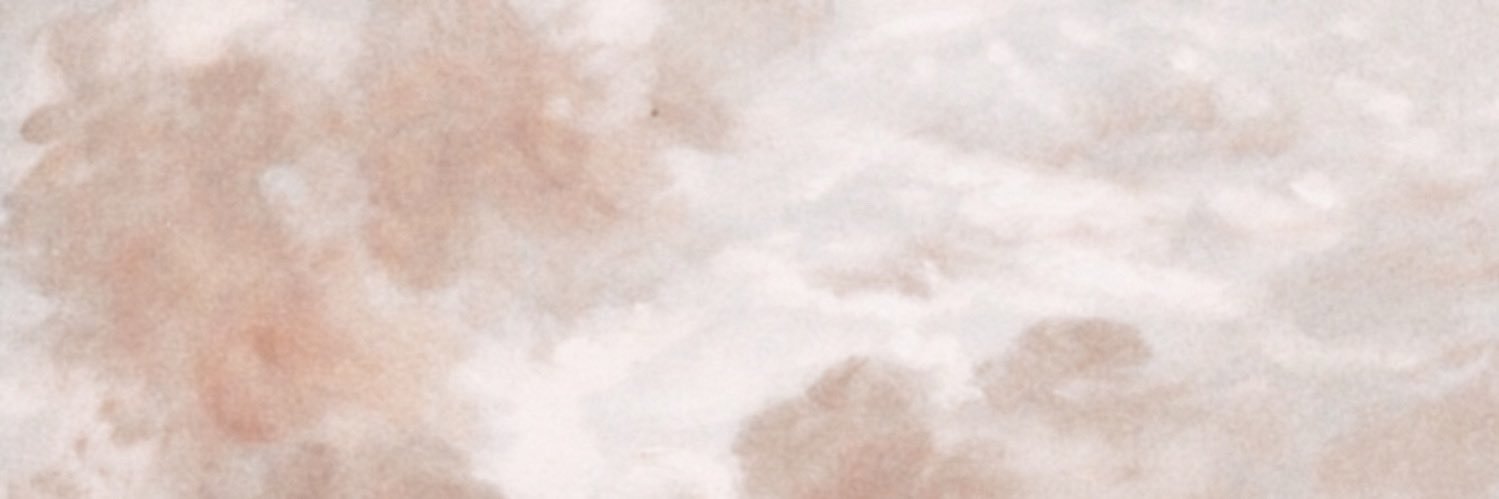 acuisu's profile banner image