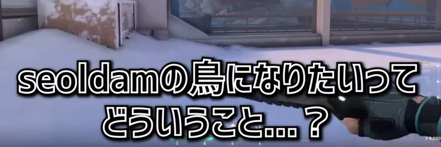 seoldamの鳥になりたい人🍀's banner