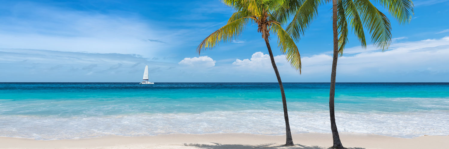 FloridaFirstTC's profile banner image