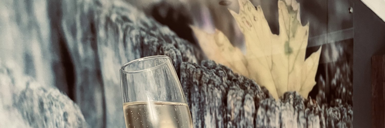 Lungile Hadebe banner