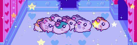 petchara🍅✨ banner