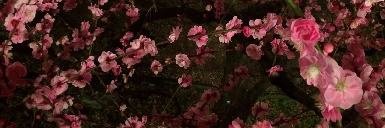 綾倉盟/めめたぁ banner