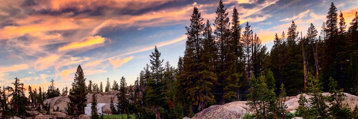 Roni_Dozer's profile banner image