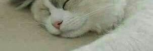 mamopik's profile banner image