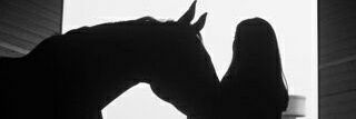 فوفا banner