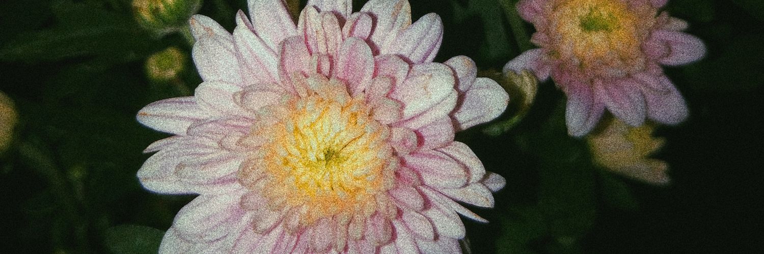Nrwulans's profile banner image