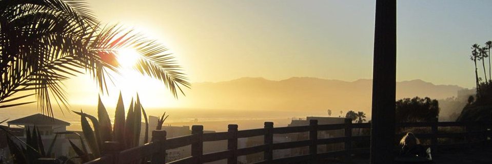 Alex Dickerson banner