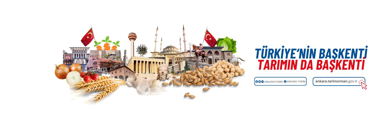 ankaratarim's profile banner image