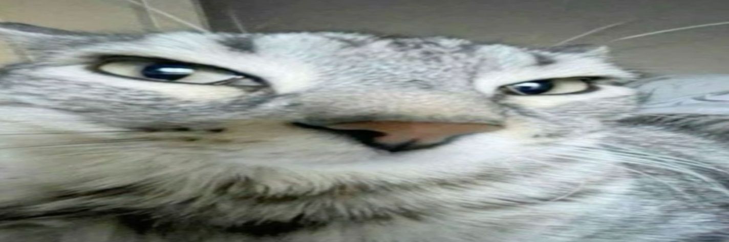ehogabr's profile banner image