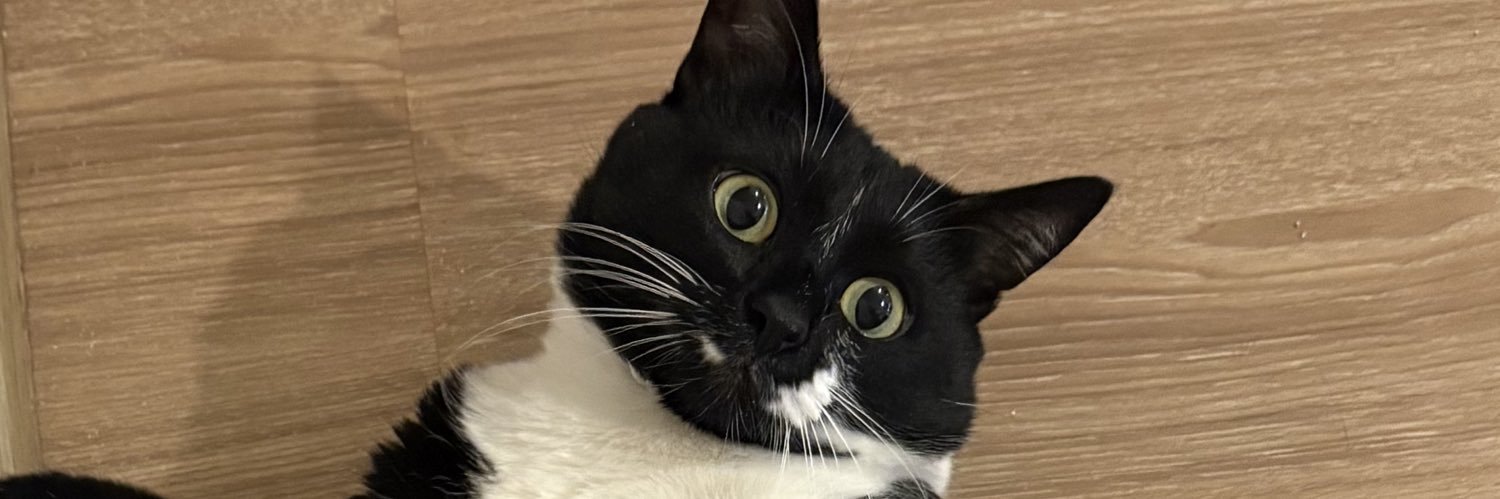 babediloss's profile banner image
