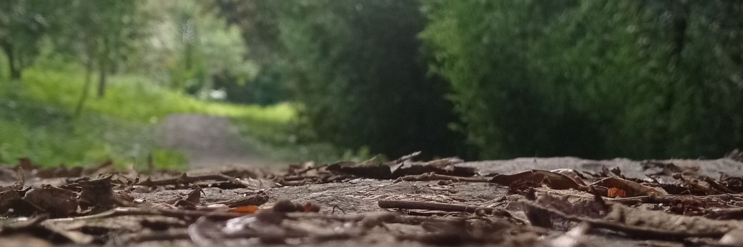 HeidiTorresg's profile banner image
