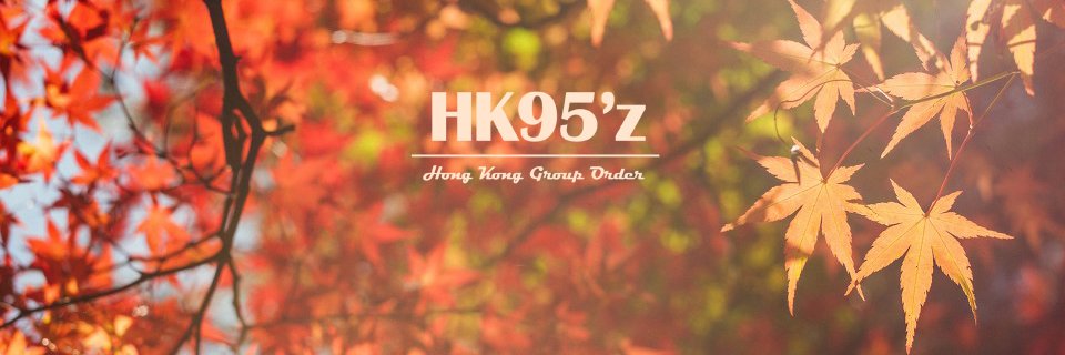 HK95'z banner