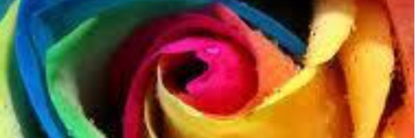 JenSilvaBPE Profile Banner