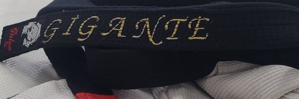 EricBJJ2 Profile Banner