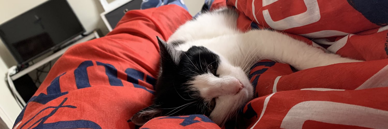 Donovan Léoniste 💙🤍 banner