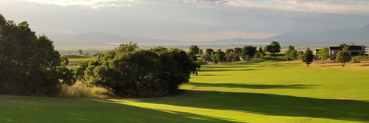 Bryson Openshaw banner