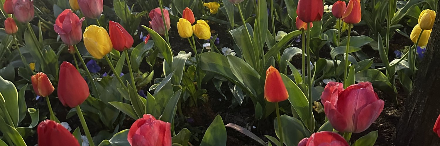 Potluck Crew®: Social Club banner