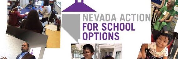 Nevada Action for School Options banner