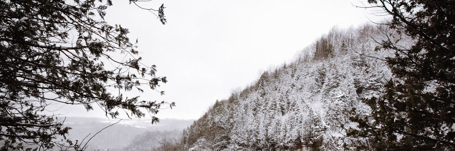 laurenwritess's profile banner image