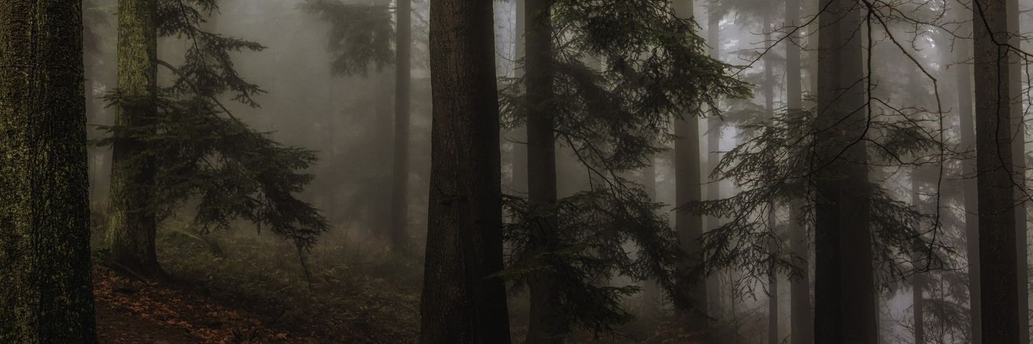 DM banner