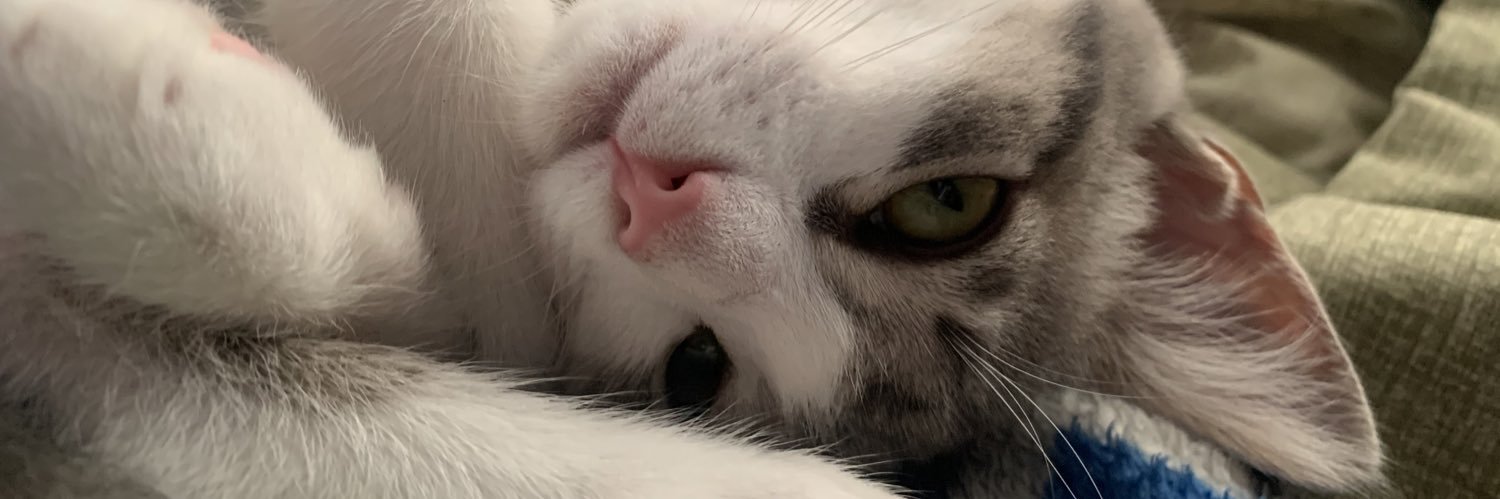 FeeyGC's profile banner image