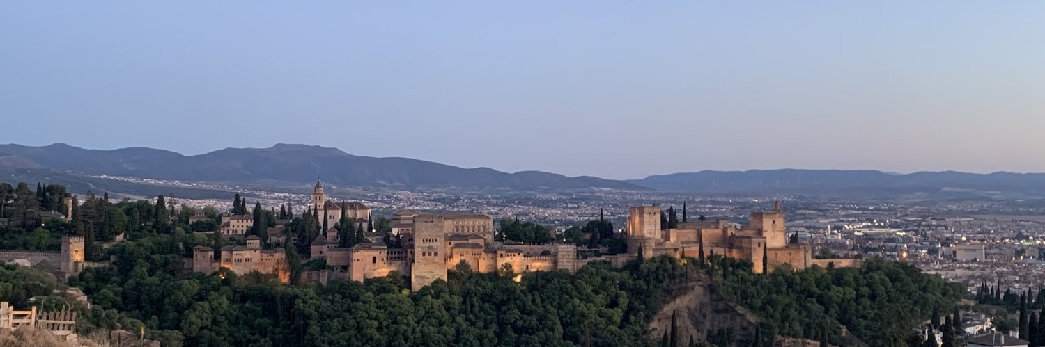 Bertiño 🇮🇪 banner