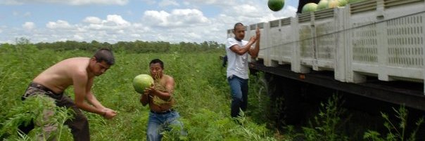 fairfoodproject's profile banner image