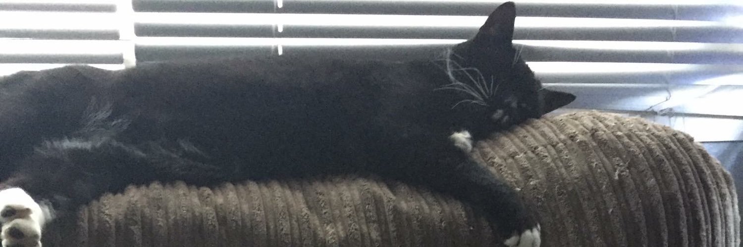 Jodilicousx's profile banner image