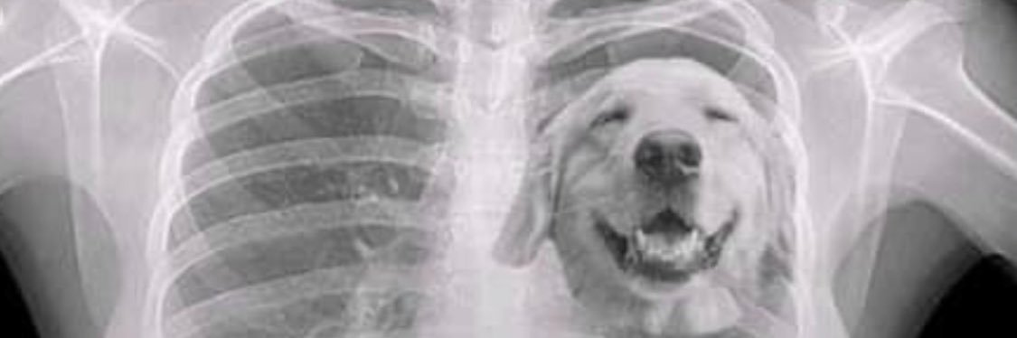 Live and let live banner