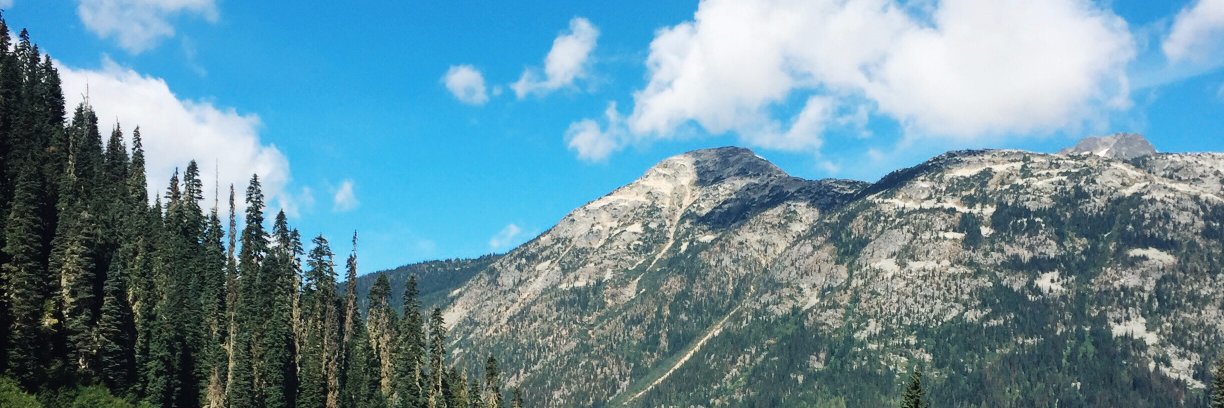 Srushti Gangdev banner