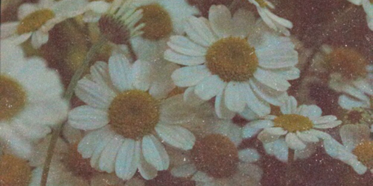 josieegordon's profile banner image