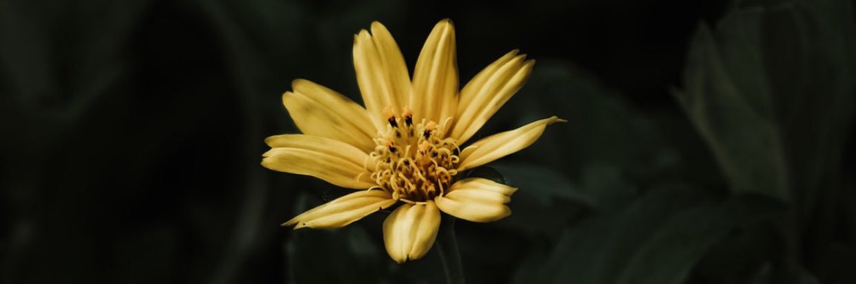 افرح تفرح👻 banner