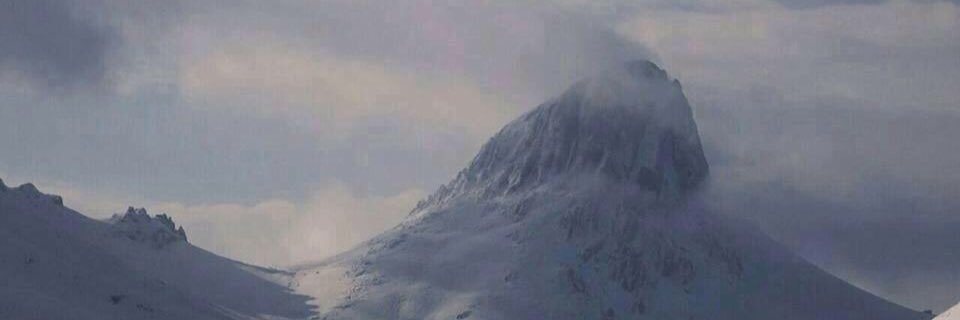 awataliyar's profile banner image