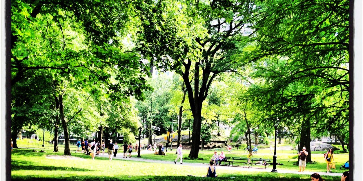 Debbie Clancy banner