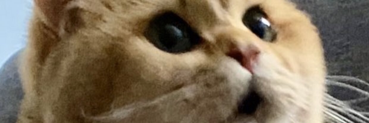 CliffHowe's profile banner image