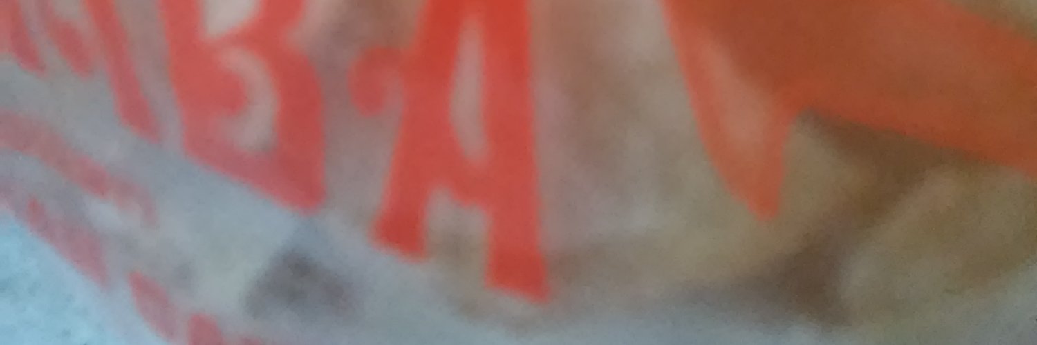 KecoakJenius's profile banner image