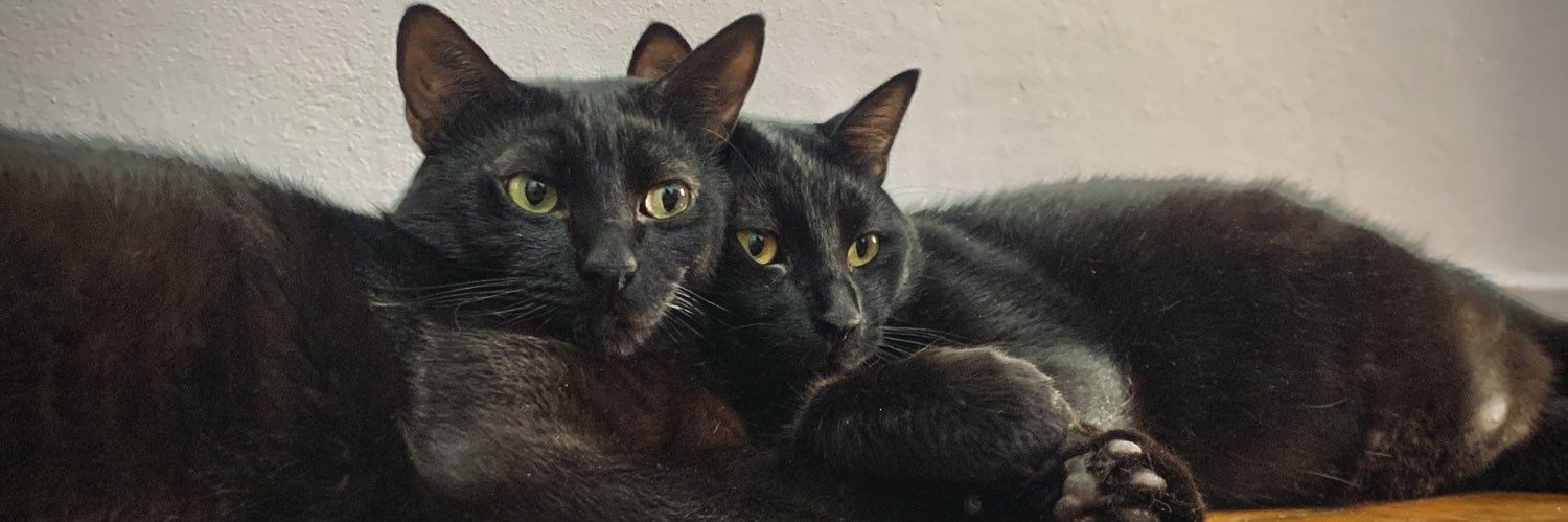 fellipeinhan's profile banner image