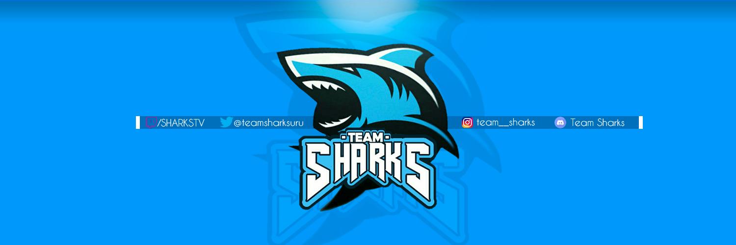 Team Sharks banner