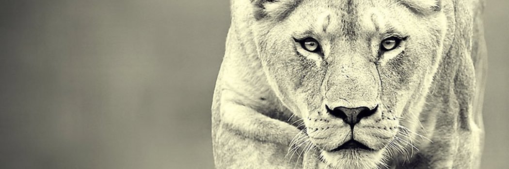 R08Shorty's profile banner image