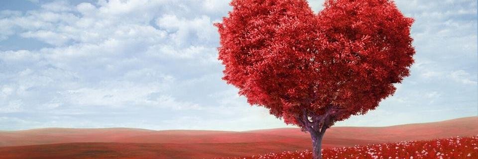 User_Zvezda's profile banner image