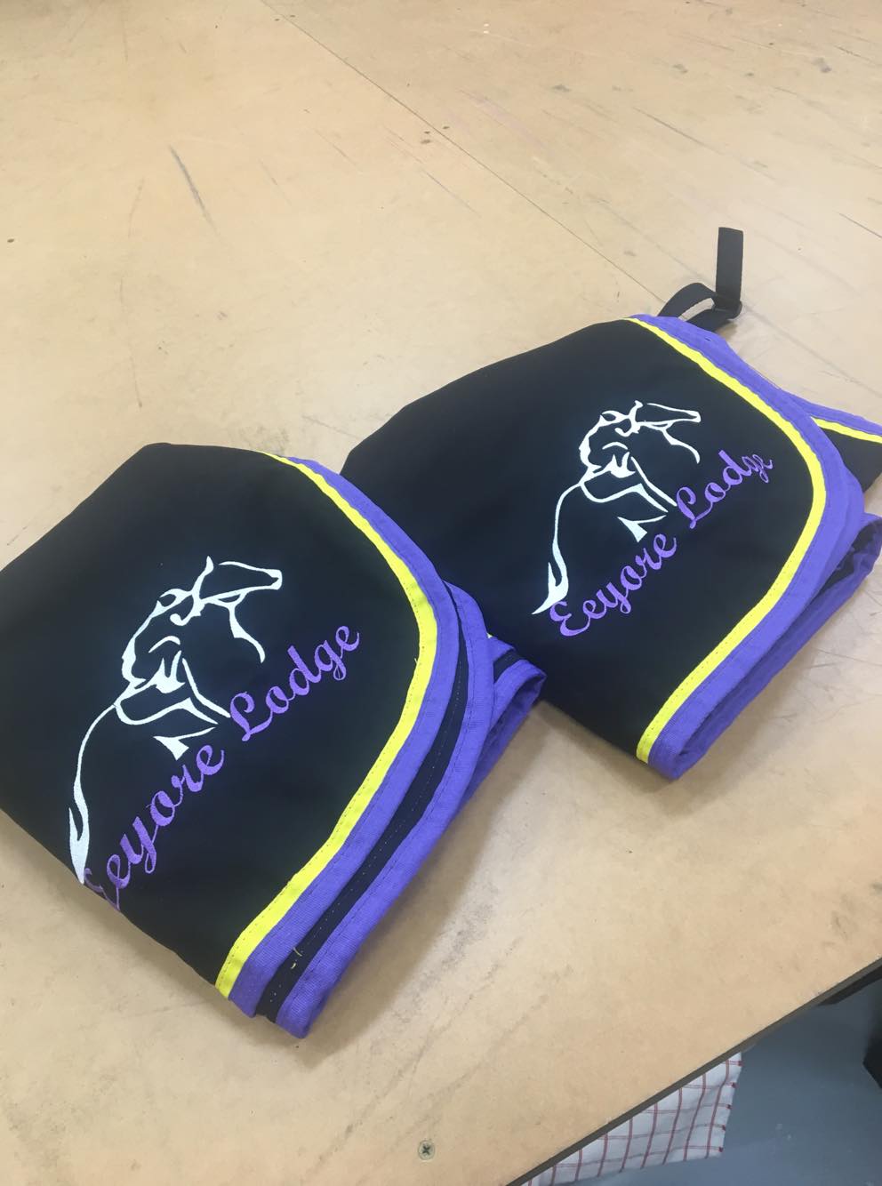 Eeyore Lodge Racing banner